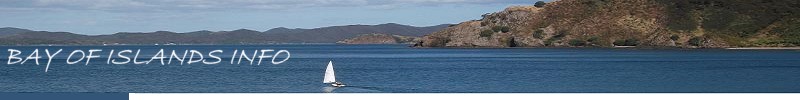 Bay Of Islands Info Banner