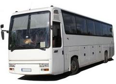Napier Bus and Travel Information